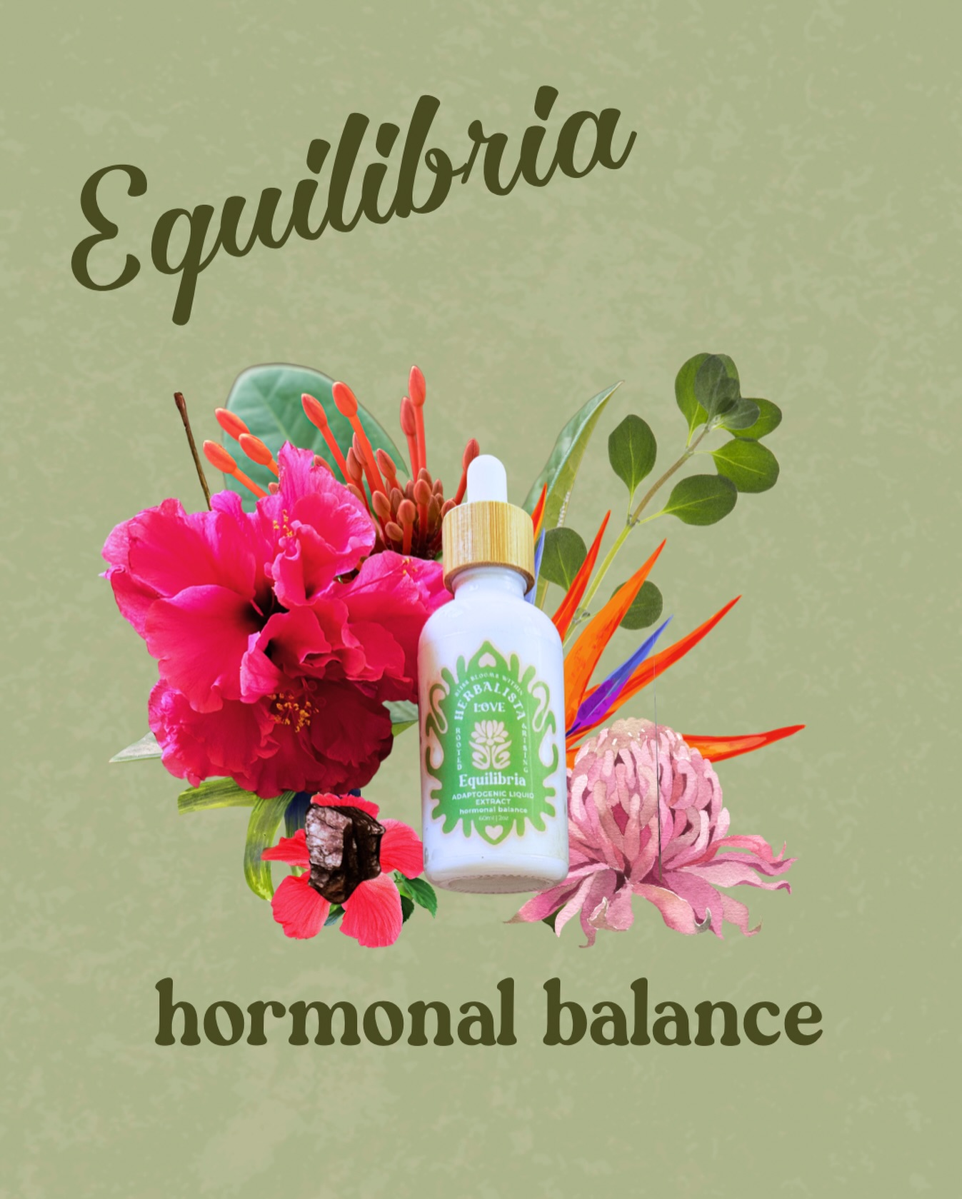 Equilibria — Plant Allies for Hormone Support ✨

If your hormones feel unpredictable, your cycle heavier than usual, or mood swings hit harder than you’d like… you’re not alone. Whether it’s PMS, post-partum shifts, or the transitions of perimenopause and beyond — Equilibria was crafted to support you.

This liquid herbal extract brings together powerful plant allies that gently support your hormonal rhythm and emotional steadiness.

🌿 What’s inside and why it matters:

• Vitex (Chaste Tree) — helps regulate ovarian hormonal balance by acting on the hypothalamus-pituitary axis.

• Ashwagandha — supports your nervous system and adrenals, easing stress and balancing endocrine function.

• Motherwort — calms the nervous system and supports uterine tone, especially helpful during emotional or physical tension.

• Dandelion Root — supports liver detox pathways, which play a key role in hormone clearance and balance.

• Schisandra & Reishi Mushrooms — adaptogens that nourish the liver, support emotional resilience, and protect against stress-induced hormonal chaos.

💧Take it daily — under the tongue or in a bit of water before breakfast — and let the plants do their work. Most women notice a difference between 2–3 cycles of consistent use.

This is not a quick fix — it’s a steady, rooted way to support your body through the natural hormonal transitions of womanhood.

📍 Available at the apothecary, online at herbalista.love, or via Komida App.

Your body speaks in symptoms. Let the plants support you back to steadiness. 🌿

#HormonalSupport #HerbalBalance #Vitex #Motherwort #Ashwagandha HerbalistaLove