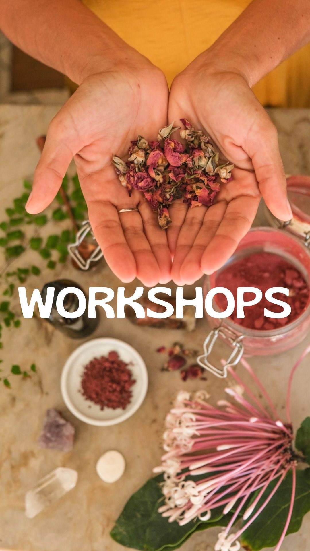 I am back on workshop mode ✨🌱

In-person herbalism workshops are designed to give you specific tools to amplify your knowledge on how to implement plant medicine to heal yourself and your loved ones, everyday, and for the rest of your life. 

My workshops combine theoretical material and hands-on practice. You will learn how to identify plants by how they look, smell and feel. You will also learn how to transform and take those herbs, depending on your needs. You can ask questions and get instant answers, so you can evolve rapidly in your herbalism practice. 

If you are a beginner or a seasoned herbalist that would like to master more skills, my workshop are fun and dense with valuable info.

My next workshop is:

HALLOWEEN + ECLIPSE 
MAGIC CHOCOLATE AND POTIONS MAKING

It’s solar & lunar eclipse + Hallow’s Eve +  Day of the Death season aka Witch season. These are highly powerful times and I would like to share with you fun ways that to tap into that green witch in you and discover herbal magic.

In this hands on workshop we will be making a home made chocolate with superfoods, adaptogens, spices, and a touch of mystery. 

We will also be creating and taking home one of the two following potions:

Cash flow potion: alchemize your own concoction to activate Abundance, Confidence, Self Belief, and Prosperity. 

Love potion: Create your own potion to attract love or (self-love), increase your charm, and spice up your love life.

Both of the potions can be a crystal charged aura mist, a crystal charged aromatherapy roll-on or a crystal charged massage oil.

Learn about the magical properties of aromatherapy and magical herbs, and how to use them in your day to day life to manifest abundance, love and miracles. We will learn about how to incorporate essential oils, flower essences, herbs, flower baths and oracle cards into your daily rituals.

WHEN: Friday the 28th of October 5-7 pm
WHERE: Herbalista Apothecary 1111 Cabarete main street, by Janet super market
ENERGY EXCHANGE: 44 US$, 7 spots available only
Reserve by private message
.
.
.
#herbalismworkshop #herbalism #cabarete