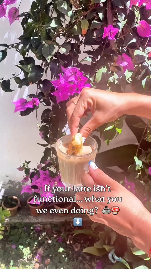 A good latte should hit deeper than flavor.

At Herbalista, we make functional latte blends — powdered mixes made with medicinal-grade mushrooms, adaptogenic herbs, and powerful plants you can turn into a daily ritual with vegan milk, hot water, or even add to your coffee.

✨ Mindful — lion’s mane brain tonic for calm focus + mental clarity
✨ Rejoice — mucuna + reishi for a dopamine-loving uplift
✨ Fungi Tonic — 4 medicinal mushrooms for daily immune support
✨ Golden Milk — turmeric + ashwagandha for grounding, inflammation support + nervous system support
✨ Ceremonial Matcha — clean energy, sharp focus, no dirty crash

They taste good… and they actually do something.
And yes — they can make your coffee ritual feel a whole lot smoother ☕🌿

📍Visit the apothecary in Cabarete
📦 Order online with delivery all across RD
🛵 In Cabarete + Sosúa, order through Komida app

All links in bio 

Tell me… are you team Mindful, Rejoice, Fungi, Golden Milk or Matcha? 👀

#functionalmushrooms #herbalmedicine #mushroomcoffee #adaptogeniclatte #herbalism