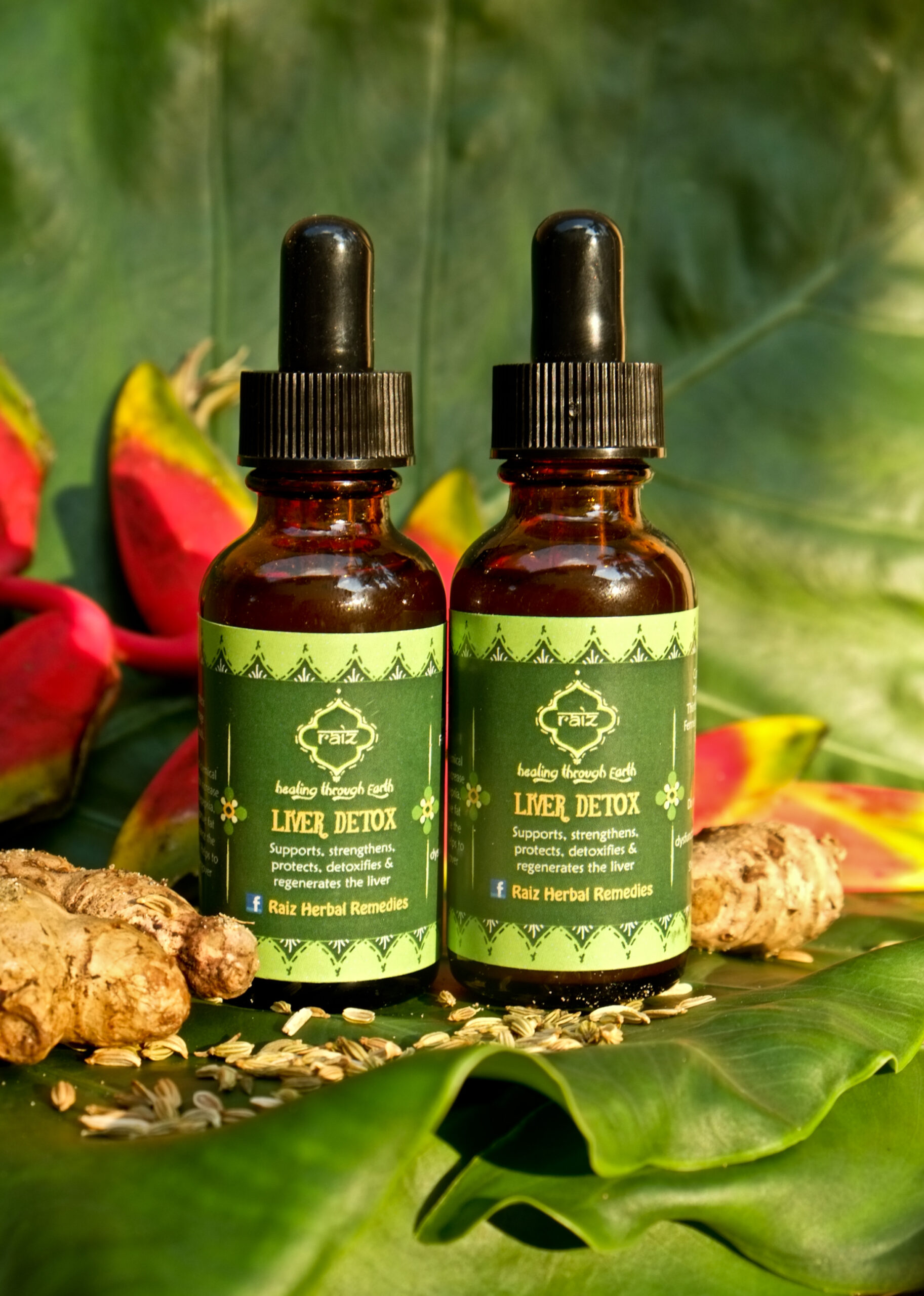 LIVER DETOX ︱LIQUID HERBAL EXTRACT Herbalista.love